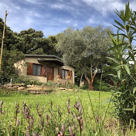 La Cerca Del Alcornoque Casa de hóspedes Casas de Belvis Exterior foto