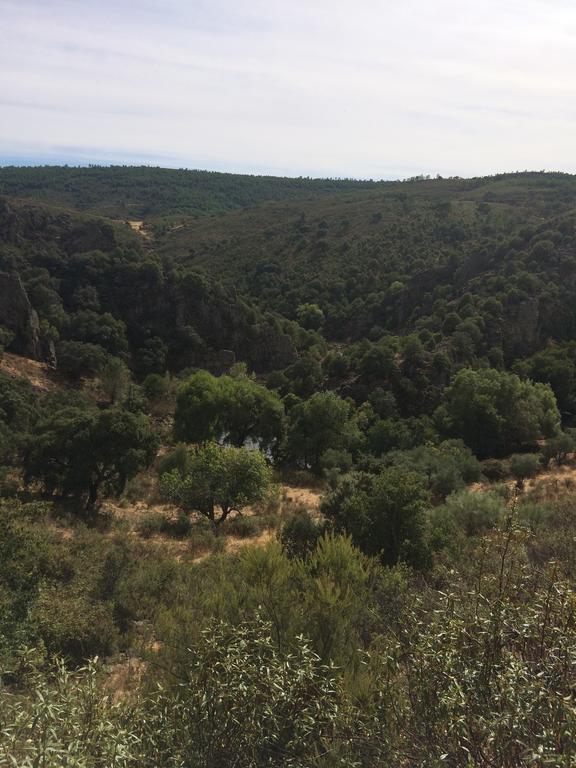 La Cerca Del Alcornoque Casa de hóspedes Casas de Belvis Exterior foto