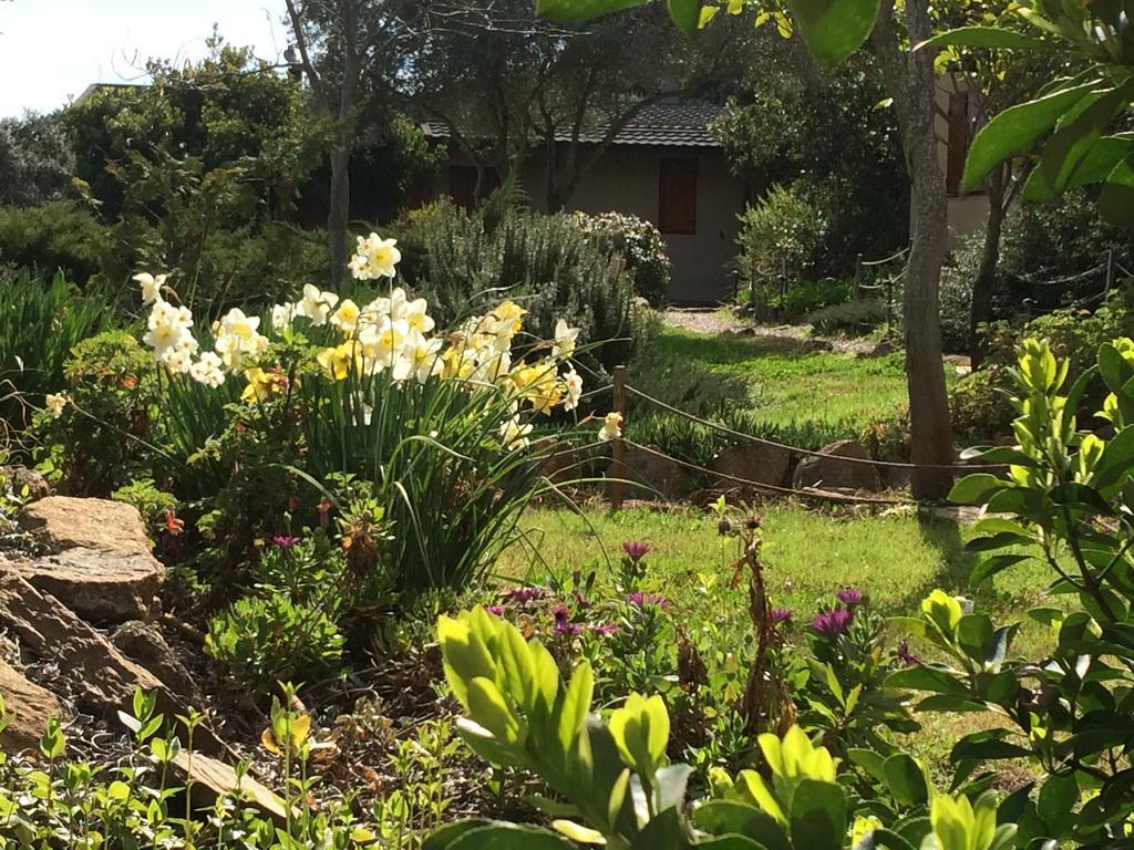 La Cerca Del Alcornoque Casa de hóspedes Casas de Belvis Exterior foto