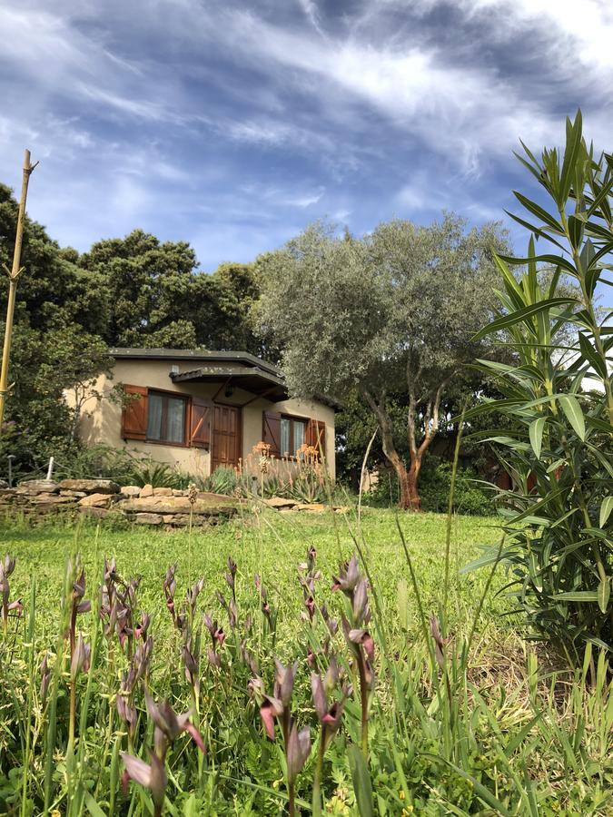 La Cerca Del Alcornoque Casa de hóspedes Casas de Belvis Exterior foto